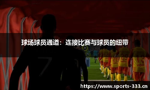 333体育官网